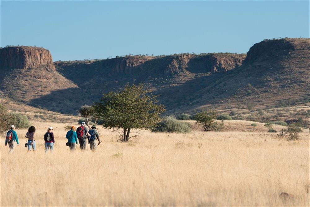 Etendeka Mountain Camp